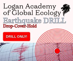 Earthquake Drill